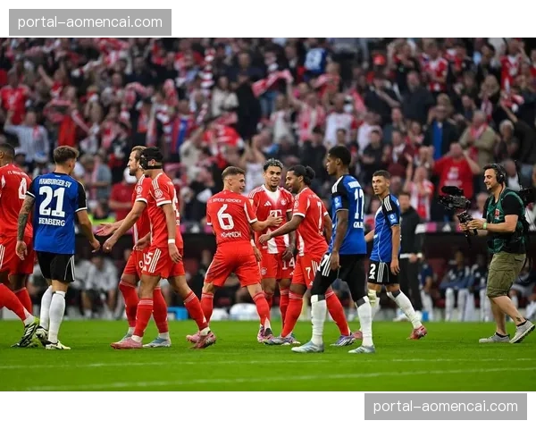 场边花絮：球迷闯入赛场导致斯图加特vs沃尔夫斯堡比赛短暂中断